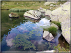 foto Lago di Montalon